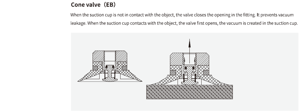 15503828573900086ixK.png image.png